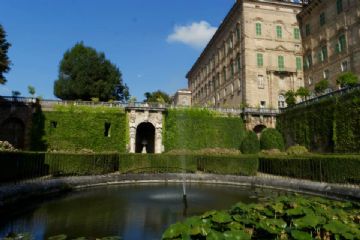 Sfoglia la galleria